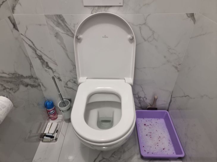 Toilet