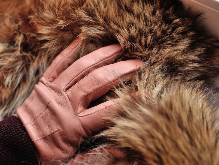 fur, hand