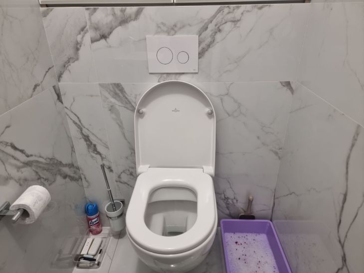 Toilet