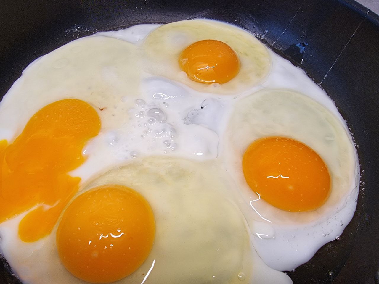 Fried eggs