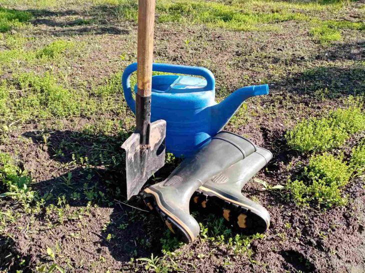 shovel, watering can