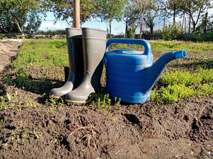 watering can, boots