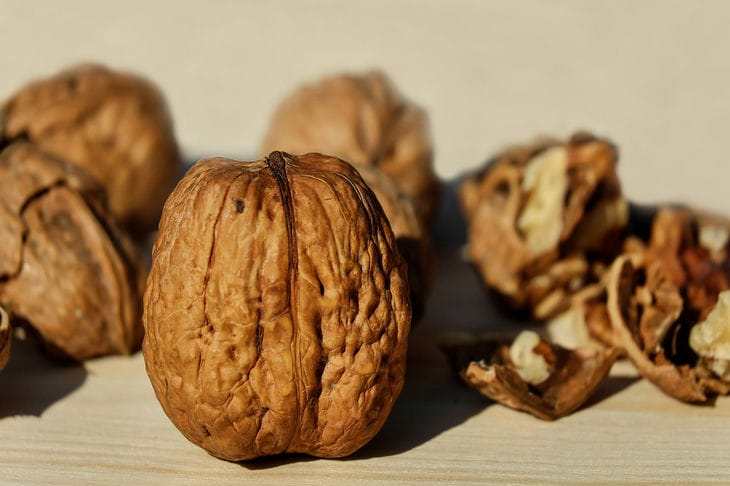 walnuts