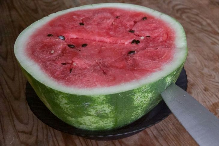 watermelon 