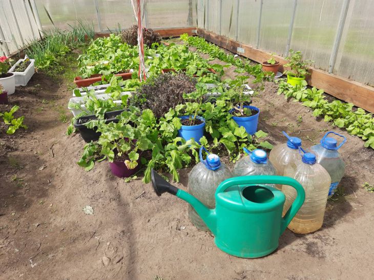 watering can