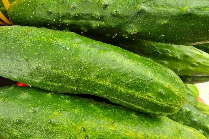 cucumbers