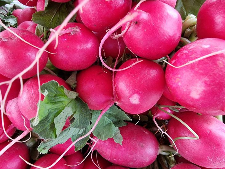 radish