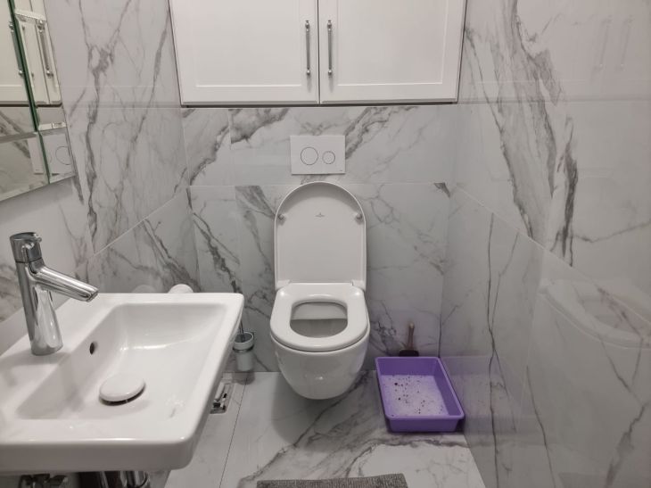 toilet