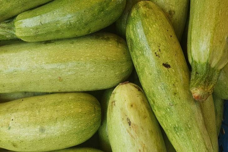 zucchini