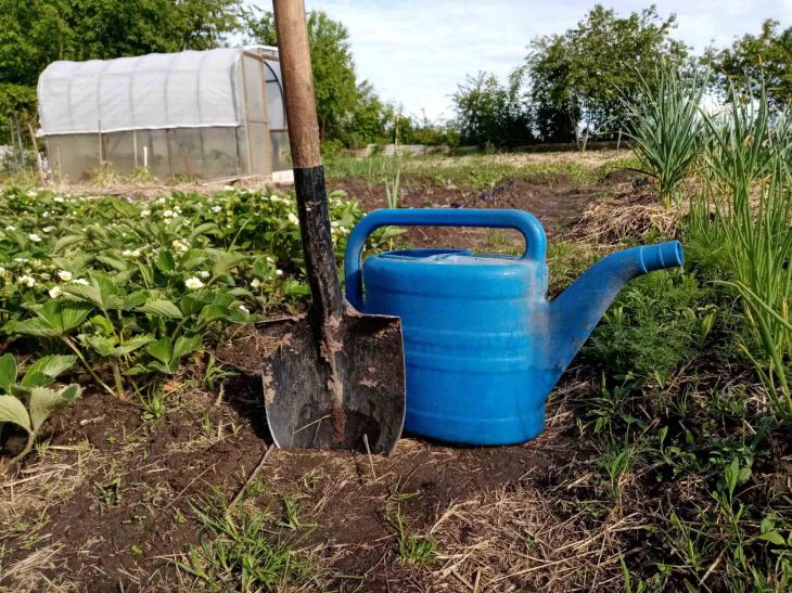 shovel, watering can