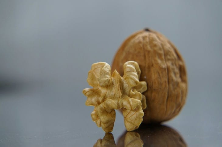 walnut