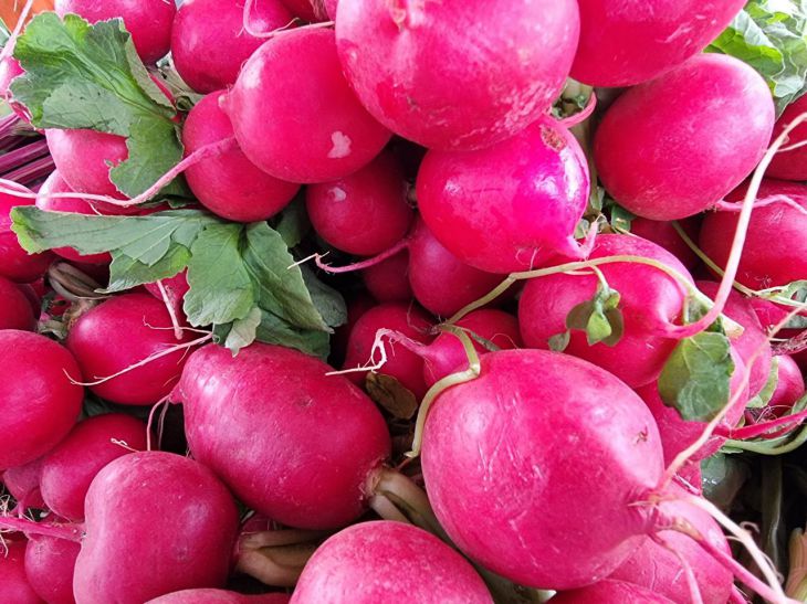 radishes