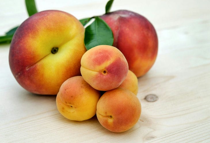 apricots