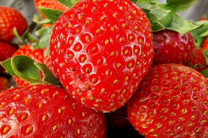 strawberry 