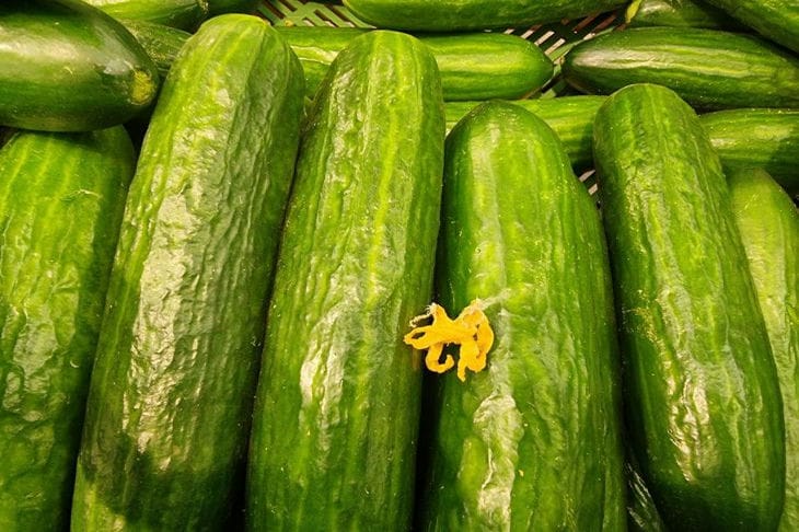 cucumbers