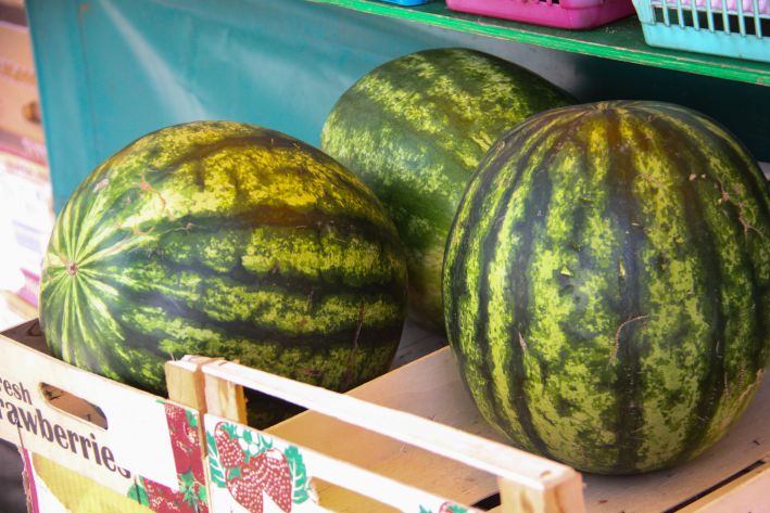 watermelons