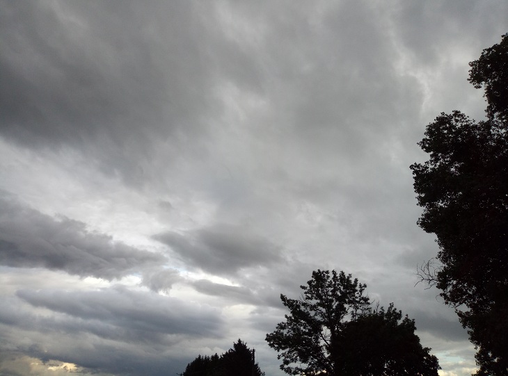 clouds, trees