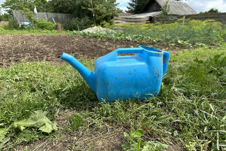 watering can