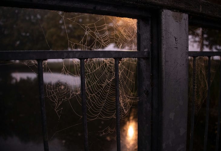 web