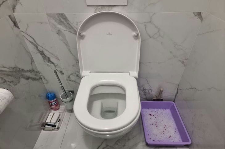 toilet