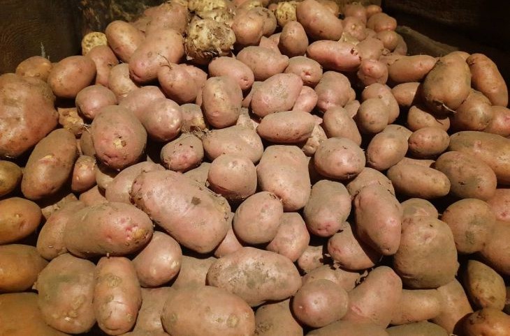 potatoes