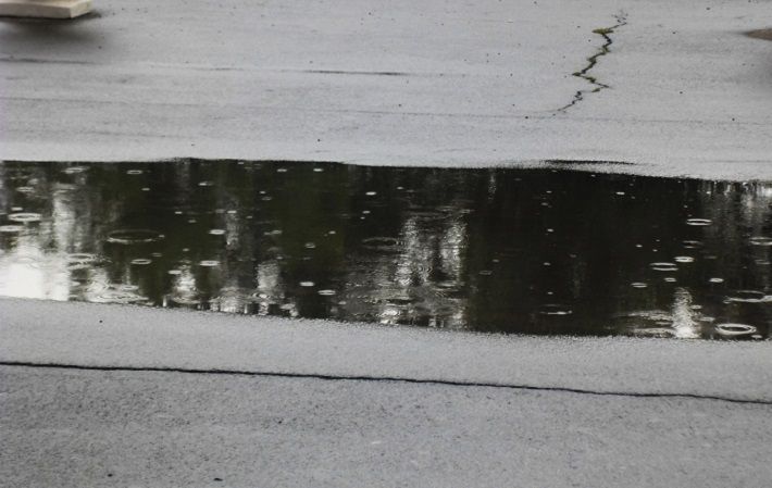 puddle