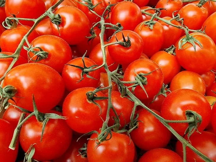 Tomatoes