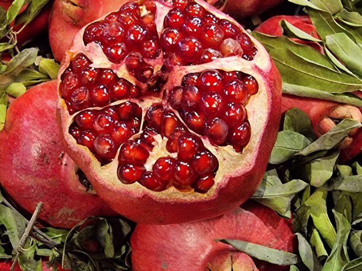 pomegranate