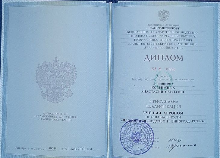 diploma