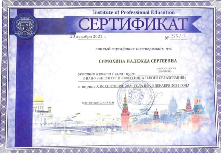 diploma