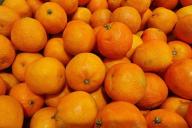 Tangerines