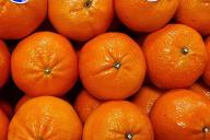 tangerines