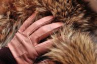 fur, hand