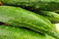 cucumbers