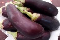 eggplant