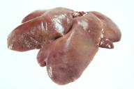 liver