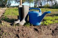 watering can, boots