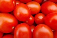 tomatoes