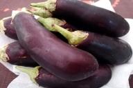 Eggplant