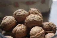 walnut