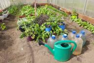 watering can