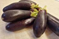 eggplant