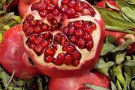 pomegranate