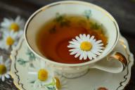 chamomile