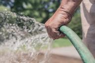 watering