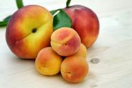 apricots