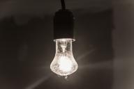 bulb