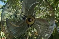 fan