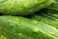 cucumbers