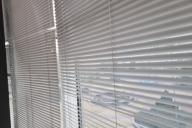 blinds